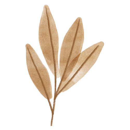 Blatt.png__PID:b5c1fb78-68c8-4c01-b6db-e3ce3baad8c5